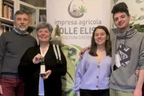 Olio di Canapa: quello di Elisa Colle è il secondo più buono in Italia