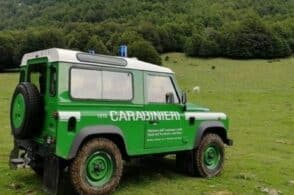 Uccidono i loro piccioni e disperdono le carcasse: denunciata coppia di 60enni