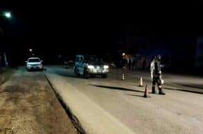 Sette animali investiti in 24 ore: allarme sulle strade bellunesi