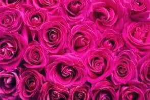 San Valentino e le sue origini: un giro nel mondo. E nella Storia