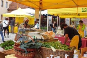 Agricoltura a km zero: torna il mercato in Piazza Piloni