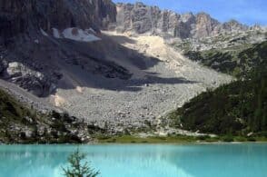 Fridays for Future: venerdì l’assemblea online del gruppo bellunese