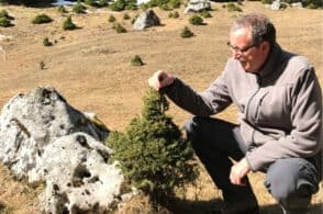 A lezione dall’esperto di foreste, Scuole in Rete porta a Belluno Daniele Zovi