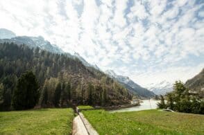 “Vivere le Dolomiti”: nuovi bandi per le attività di promozione dei consorzi