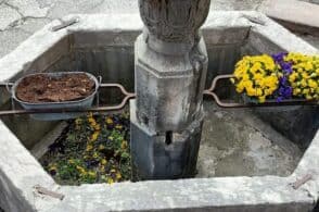 Atto vandalico a Borgo Piave: «Strappati i fiori dalla fontana»