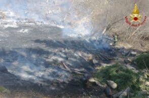 A fuoco il sottobosco: incendio vicino alle abitazioni di Chies