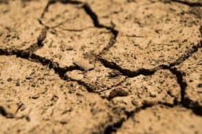 Contro la siccità la risposta è nel suolo