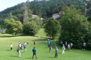 “I giganti della montagna”: le piante monumentali a portata di mano