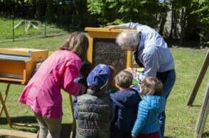 Giornata delle api anche all’asilo: bimbi alla scoperta dell’alveare