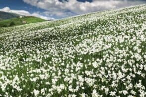 Giochi, musica, natura, arte: fine settimana ricco di iniziative