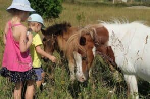 Il Campus estivo sale a cavallo: un nuovo modo di vivere la natura