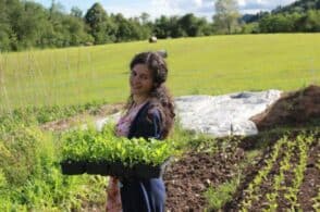 Coltivare Condividendo: i semi antichi profumano di futuro