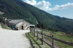 Arriva il lupo e fa scappare gli yak dal recinto. Malga in difficoltà a Chies