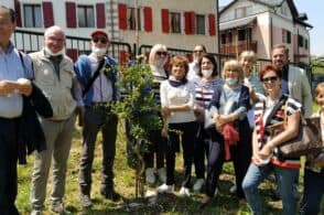 Nuove piante e percorsi migliorati, così è rinato il parco di Villa Clizia