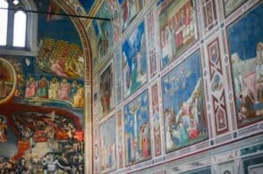 “Padova urbs picta” patrimonio Unesco. Con il lavoro di un bellunese