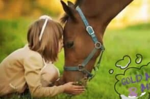 Mangruyo: Centro estivo a cavallo tra giochi, didattica e natura