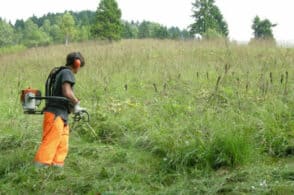 Dagli sfalci al mercato di prodotti agricoli: Ponte strizza l’occhio all’ambiente