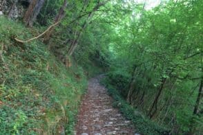 Scivola nel bosco: 73enne accompagnata in ospedale