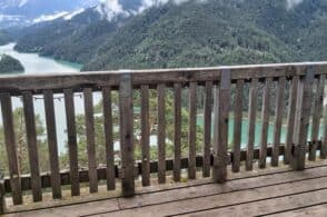Vandali al Parco Roccolo: distrutte le luci della terrazza