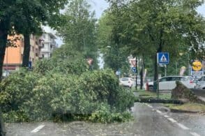 Alberi caduti e detriti in strada, la situazione nel capoluogo