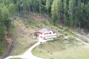 Pulizia e messa in sicurezza dei boschi: interventi per 50mila euro
