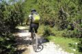 Cresce la produzione, aumentano le imprese: il settore bike funziona