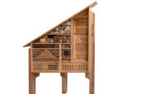 Parco delle Dolomiti: gli insetti impollinatori hanno la loro “casa”
