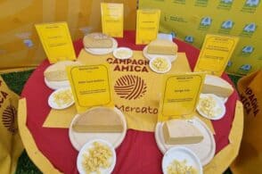 Rassegna dei Formaggi di malga dell’Agordino e della provincia: ecco i vincitori