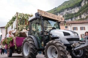 Gastronomia, sport e cultura: la Festa dell’Uva accende il weekend