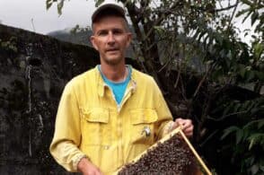 Passione, curiosità e studio: Claudio Mioranza, il “sommelier del miele”