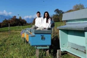 Il miele, il premio e la dedica al papà scomparso per il Covid: «Da lassù sarai orgoglioso»