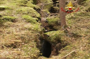 Mokka cade in una crepa tra le rocce: Labrador recuperato dai vigili del fuoco