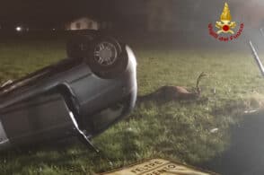 Incidente con un cervo: la macchina si rovescia. Morto l’animale