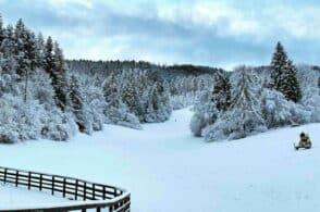 La nevicata e il nuovo sito web: Nevegal pronto per un grande inverno