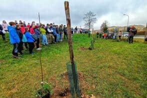 Fratello Albero, una siepe “local” per i nuovi nati