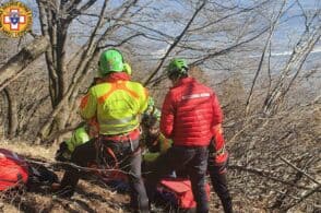 Travolto da una pianta durante i lavori nel bosco, 62enne elitrasportato a Trento
