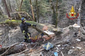 Taglia un albero e rimane incastrato sotto il tronco. Elisoccorso a Sospirolo