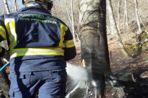 Fiamme nei boschi di Zoldo, ma la siccità è a fine corsa