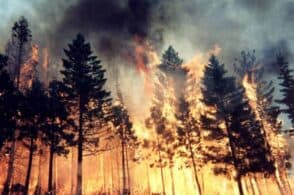 Non piove più: dichiarato lo stato di grave pericolosità per incendi