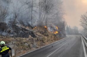 Siccità e incendi: «Una catastrofe ambientale contro cui bisogna reagire»