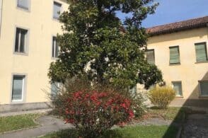 Casa del Sole, parte la fase di riqualificazione: «Completa nel 2026»