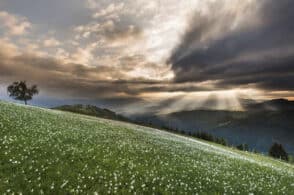 Da Luigi Cima alla macchina fotografica, scatti per salvaguardare l’ambiente