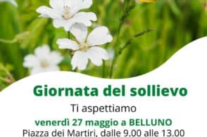 Giornata nazionale del sollievo, domani punti informativi a Belluno e Feltre