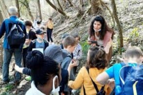 Fontane di Nogarè: la sensibilità ambientale degli alunni di Quartier Cadore
