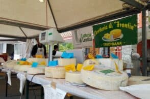 Dopo due anni di stop torna “Latterie aperte in Valbelluna”