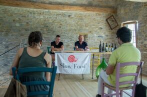 Vignaronda, sulle due ruote tra natura e vini resistenti