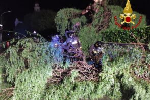 Maltempo nella notte, 40 interventi dei vigili del fuoco