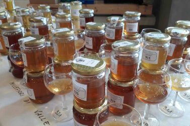 Limana Paese del Miele: aperte le iscrizioni al concorso per i migliori mieli bellunesi