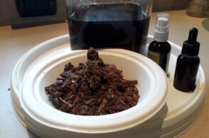 Propoli: l’antibatterico naturale con 150 sostanze biochimiche