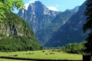 “Camminaturalmente”: alla scoperta dei prati di Salet